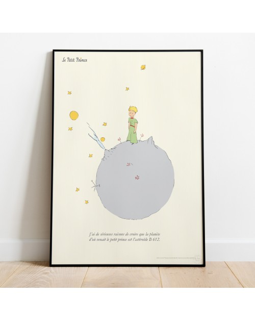 Poster : The Little Prince on B612 (50x70cm)