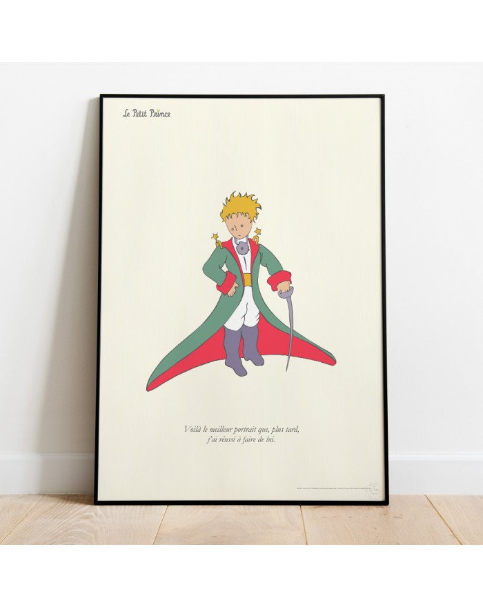 Le Petit Prince Costume 