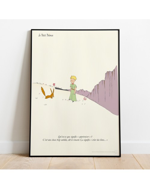 The Little Prince Art. Le Petit Prince Et Rose. the Prince and Rose. Prince  and Universe. Prince Planet and Rose. Le Prince Et Sa Planète -  Norway