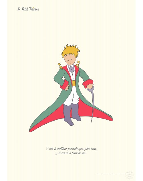 Le Petit Prince Costume 