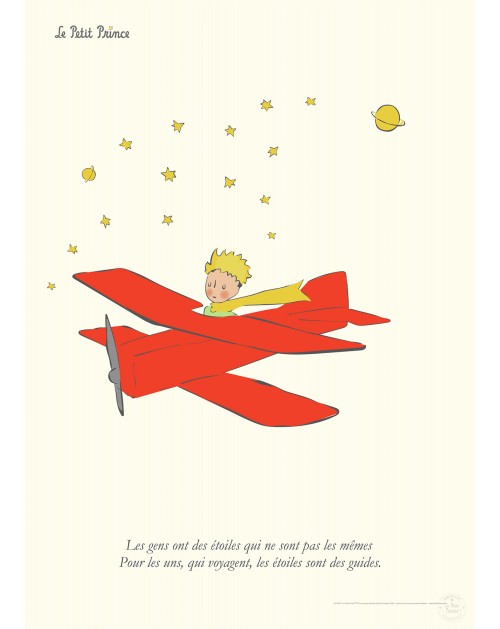 Affiche Le Petit Prince Et Son Avion 60 X 80cm
