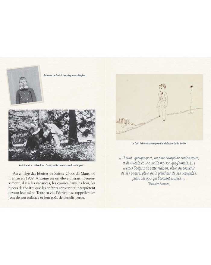 Le Petit Prince Folio Junior Édition collector cartonnée