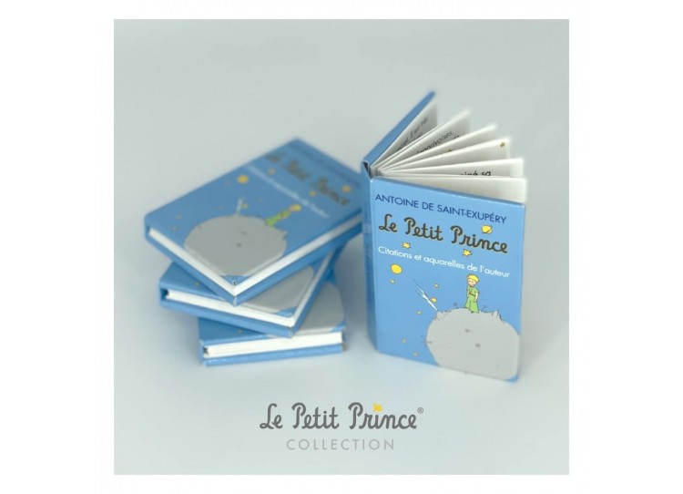 Adorables Magnets / livres / Citations Le Petit Prince